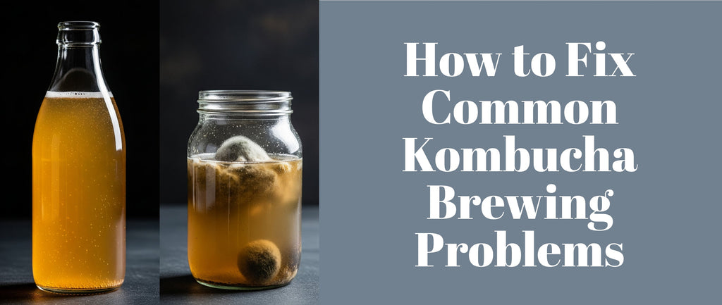 How to Fix Common Kombucha Brewing Problems