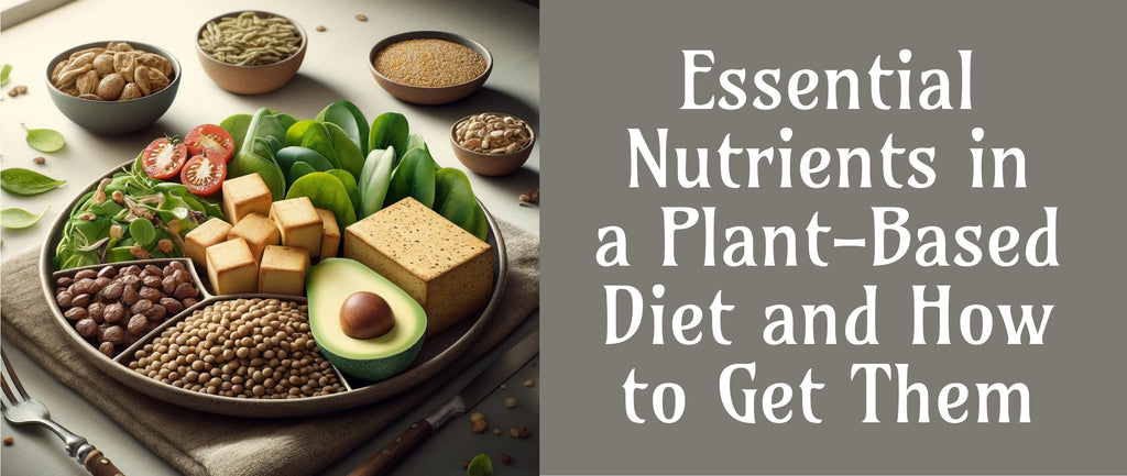 Essential Nutrients in a Plant Based Diet and How to Get Them
