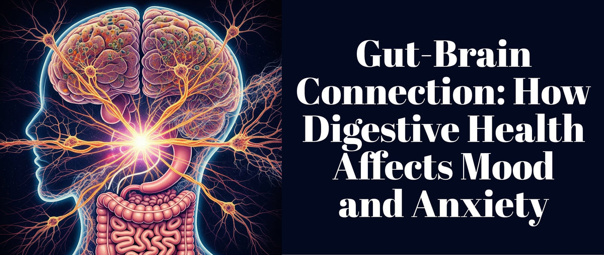 Gut-Brain Connection: How Digestive Health Affects Mood and Anxiety