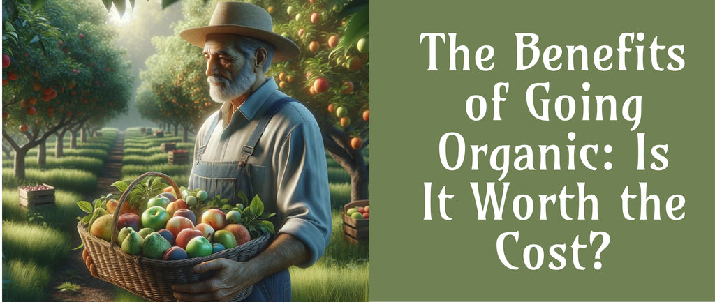 The Benefits of Going Organic: Is It Worth the Cost?