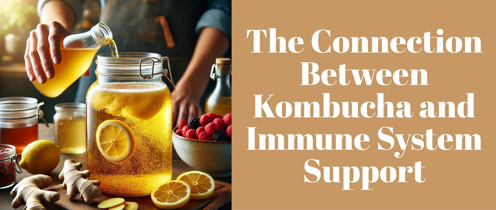 The Connection Between Kombucha and Immune System Support