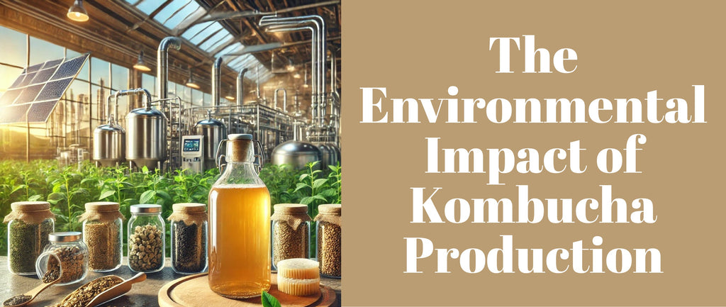 The Environmental Impact of Kombucha Production