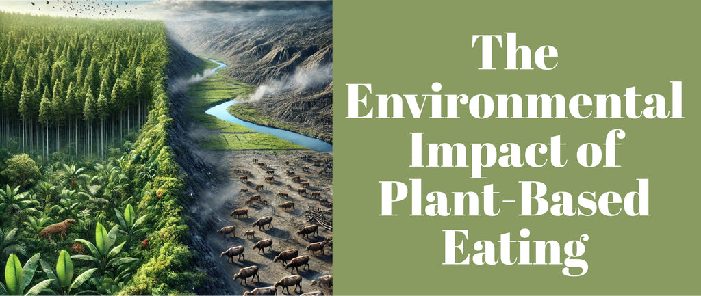 The Environmental Impact of Plant Based Eating