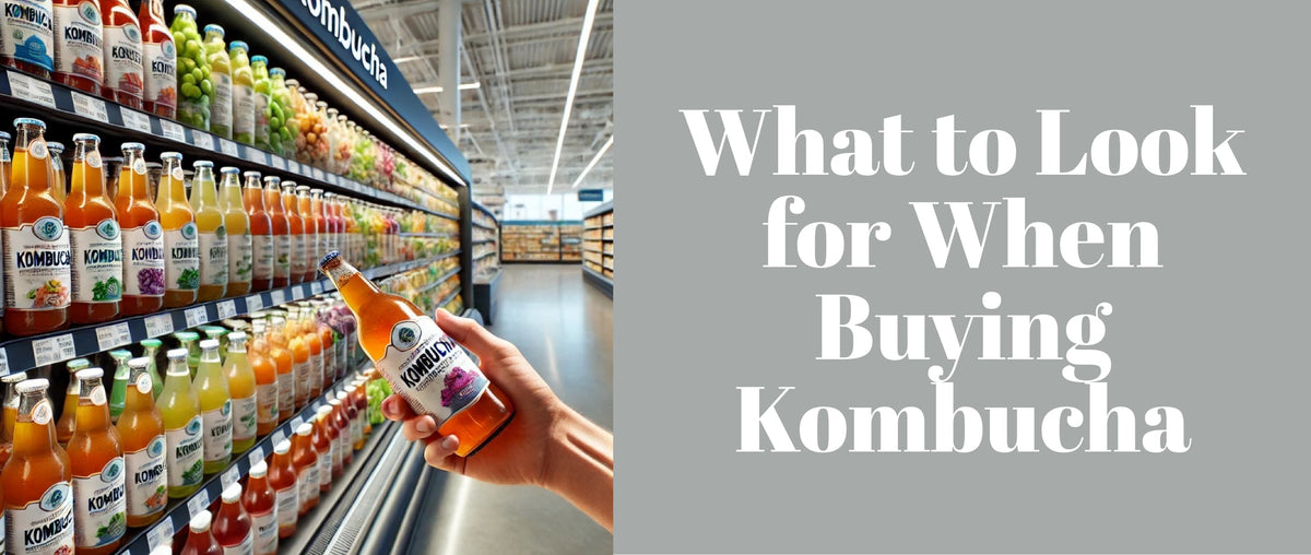 What to Look for When Buying Kombucha