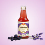 Blueberry Lavender Kombucha – 200ml