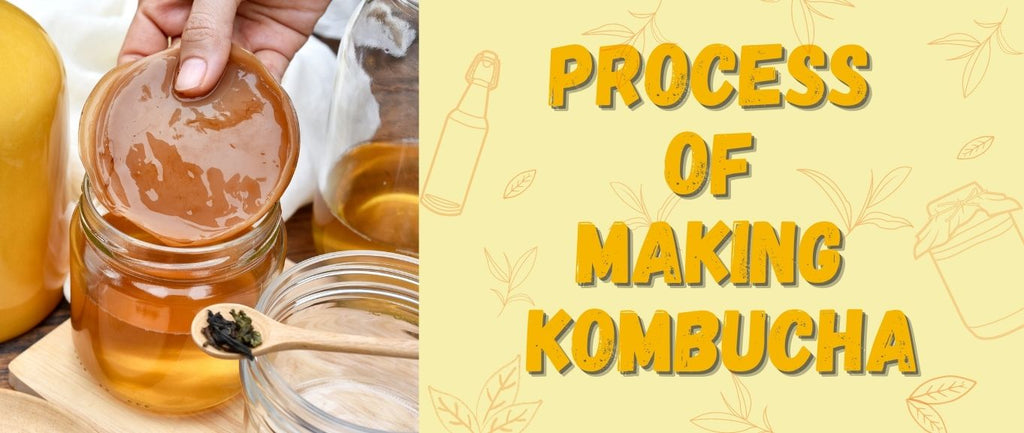 Unlocking the Art of How Kombucha is Made | A Step-by-Step Guide