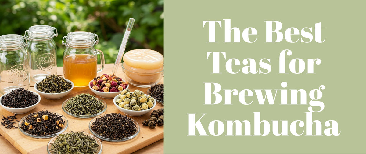 The Best Teas for Brewing Kombucha