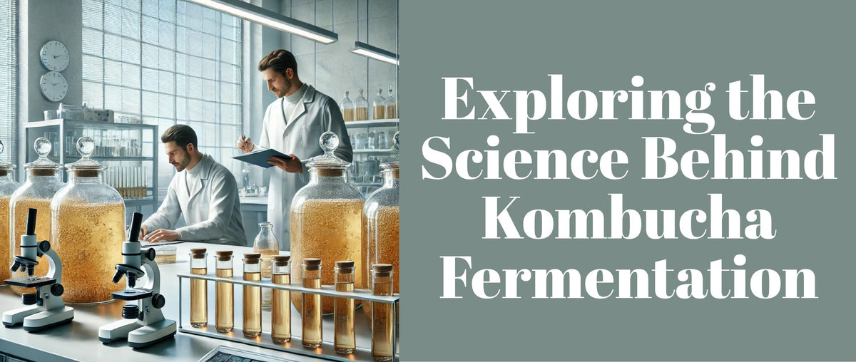 Exploring the Science Behind Kombucha Fermentation