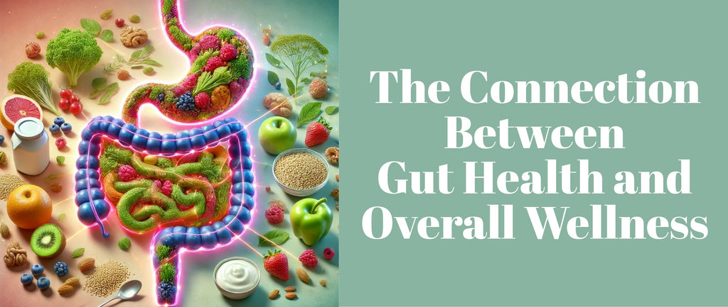 The Connection Between Gut Health and Overall Wellness