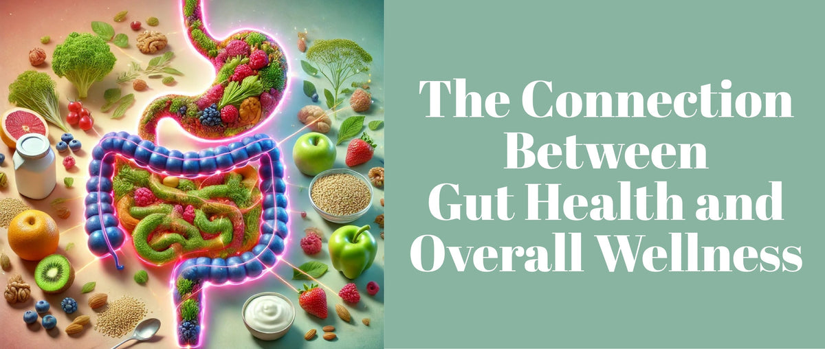 Gut Health and Overall Wellness