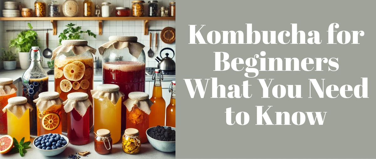 Kombucha for Beginners What You Need to Know