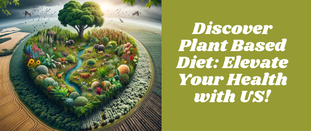 Plant Based Diet