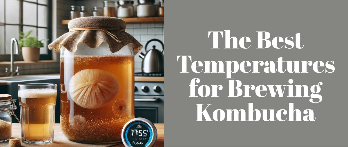 The Best Temperatures for Brewing Kombucha