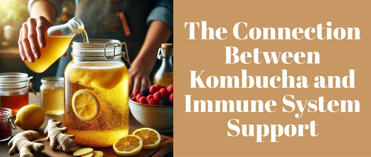 The Connection Between Kombucha and Immune System Support