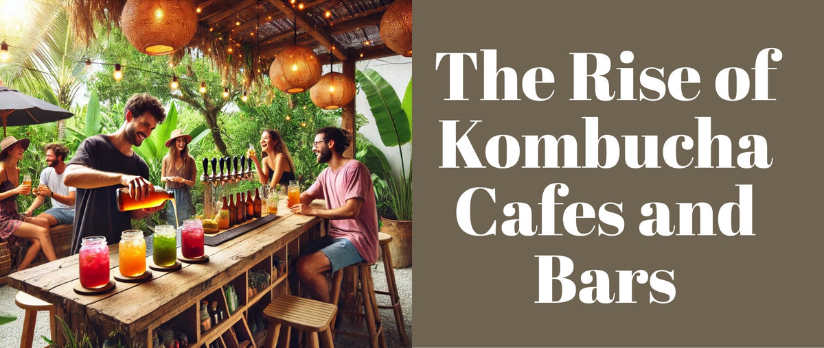 The Rise of Kombucha Cafes and Bars