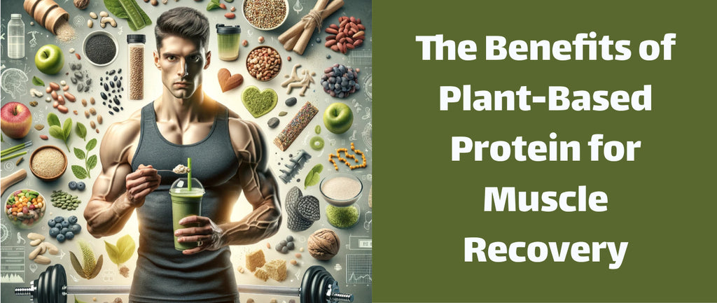 The Benefits of Plant-Based Protein for Muscle Recovery