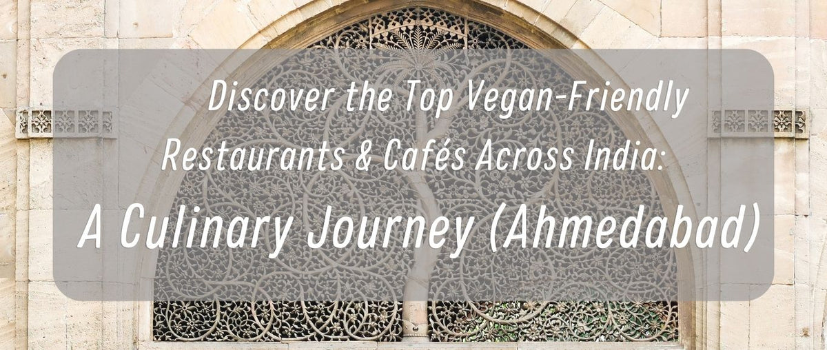 vegan food in ahmedabad