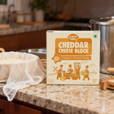 Cheddar Cheese Block - Processed Block