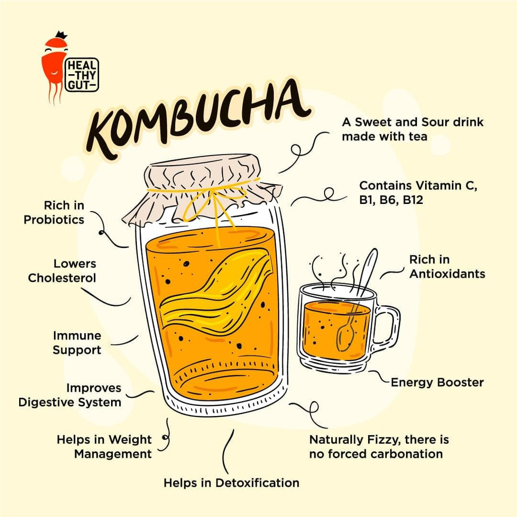 Gut Healthy Kombucha Combo Pack (330ml Mixed Flavours)